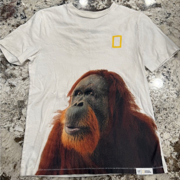 GAP Kids White Organic Cotton T-Shirt - Picture 1 of 3